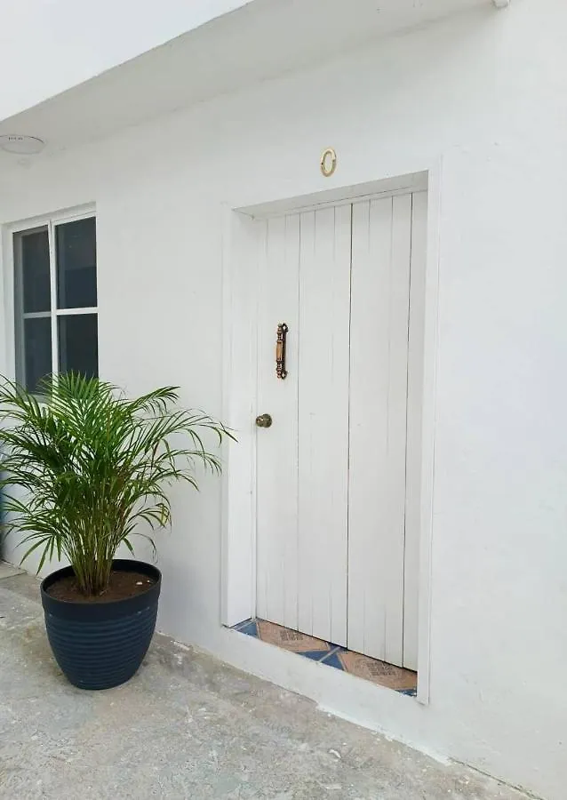 Cozy Apartment King Bed Ac Downtown Cozumel
